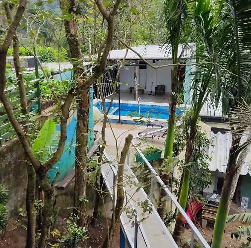 Canto Dos Passaros Rio de Janeiro