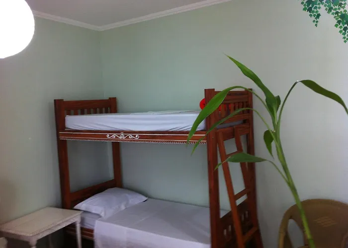 Pet friendly Zen Hostel Brasil - Hotel E Spa Sao Paulo