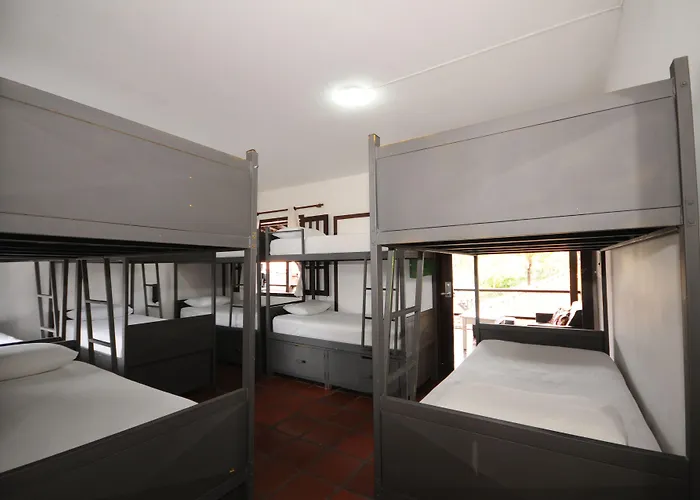 Pet friendly Che Lagarto Hostel Buzios